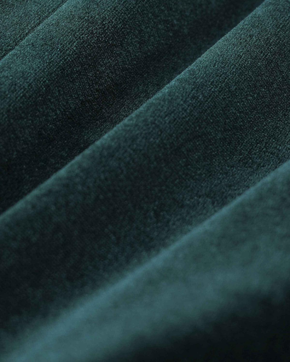 The close-up reveals a fine velvet surface with green highlights along the folds.